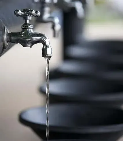 How do American water plants use it