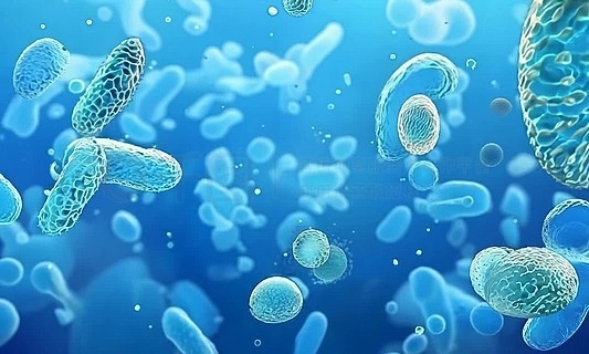 Gram-positive bacteria: threats from gyms to refrigerators