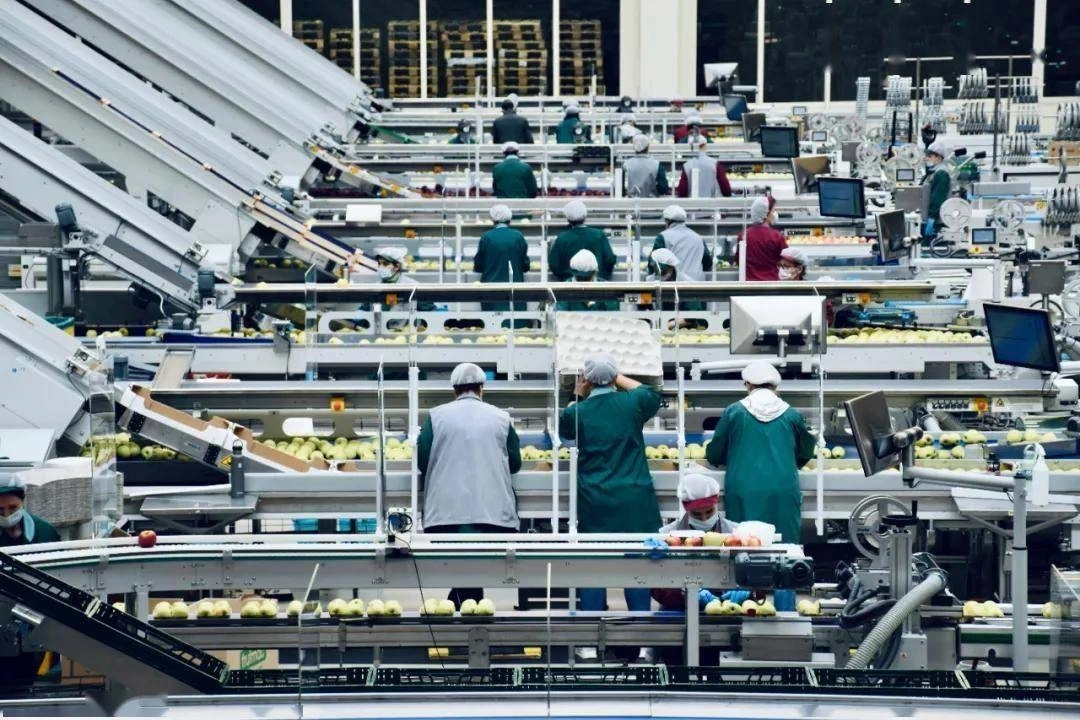 The AI revolution in US food factories: from "artificial experience" to "intelligent decision-making"