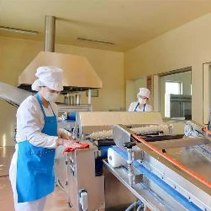 One solution to the odor problem in food factories: Chlorine dioxide shows its power