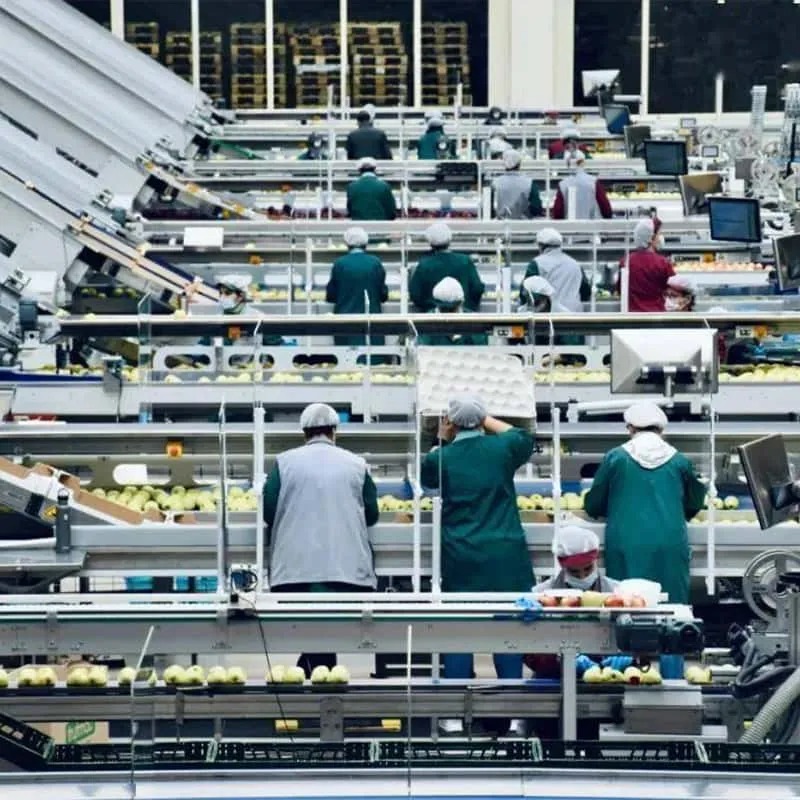 When AI takes over the kitchen: the US food industry ushers in an intelligent revolution