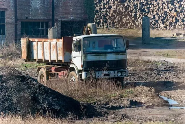 Application and development prospects of chlorine dioxide in American pig farms