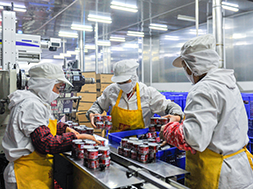 Application of stabilized chlorine dioxide in the food industry