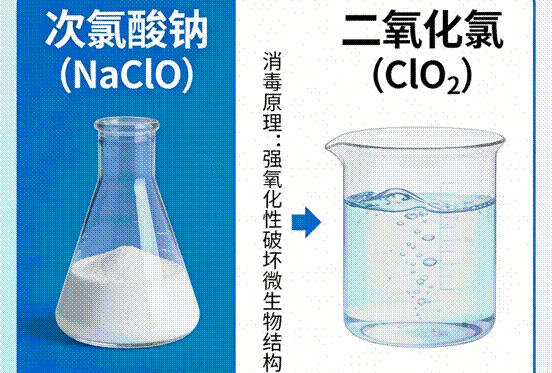 食品加工消毒作业场景图 (2)