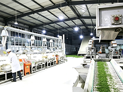 Is Chlorine Dioxide Disinfection Still Required for Process Water After High-Temperature Treatment in Food Factories?   