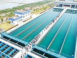 How Water Utilities Safeguard Water Quality from the Treatment Plant to the Tap