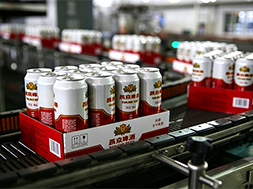 Protecting Quality in Every Sip: Scientific Cleaning and Disinfection of Beverage and Brewery Process Piping