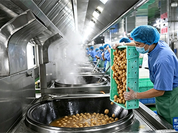 Comprehensive Mold Control Guide for Food Plants: 7 Key Areas to Reduce Mold Contamination Risk in Production Workshops