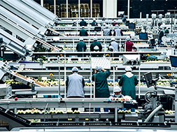 When AI Enters the Food Factory: A New Turning Point for the Food Industry