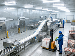 Behind the 37-Million-Pound Frozen Food Recall: When Glass Fragments Enter the Production Line, How Should We Rebuild the Food Safety Defense?