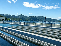 Upgrading Disinfection at Township Water Plants: Why Are Some Plants Choosing Chlorine Dioxide?