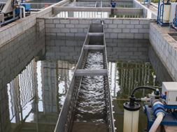 Water Plant Disinfection Misconception: Why Does the Theoretical Chlorine Dioxide Dose Often Differ from the Actual Operating Dose?