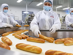 The game between dust and disinfection: how to solve the dilemma of chlorine dioxide disinfection in food factories?