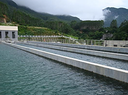 Why Does Chlorine Dioxide Sometimes “Fail” in Taste and Odor Control at Water Treatment Plants? The Key Lies in Water Quality and Dosing Strategy